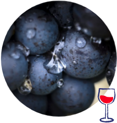 grape