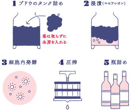 赤ワインの造り方